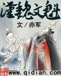 汉魏文魁赤军