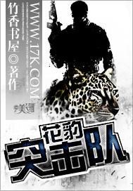 花豹突击队免费阅读最新更新