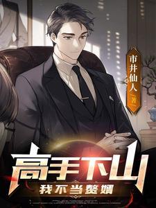 高手下山我不当赘婿 市井仙人百科