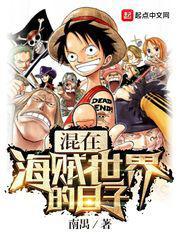 混在海贼世界的日子好看吗