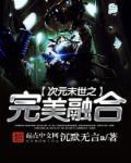 次元世界之完美融合