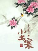 尘寰九劫