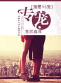 专宠小夫郎日常