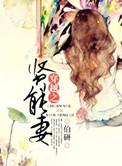 穿越之贤能妻讲的什么