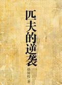 匹夫的逆袭后续
