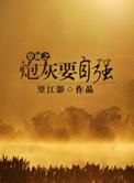穿越之炮灰在九零年代的
