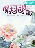 贤良夫婿