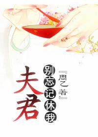 夫君别忘记休我TXT